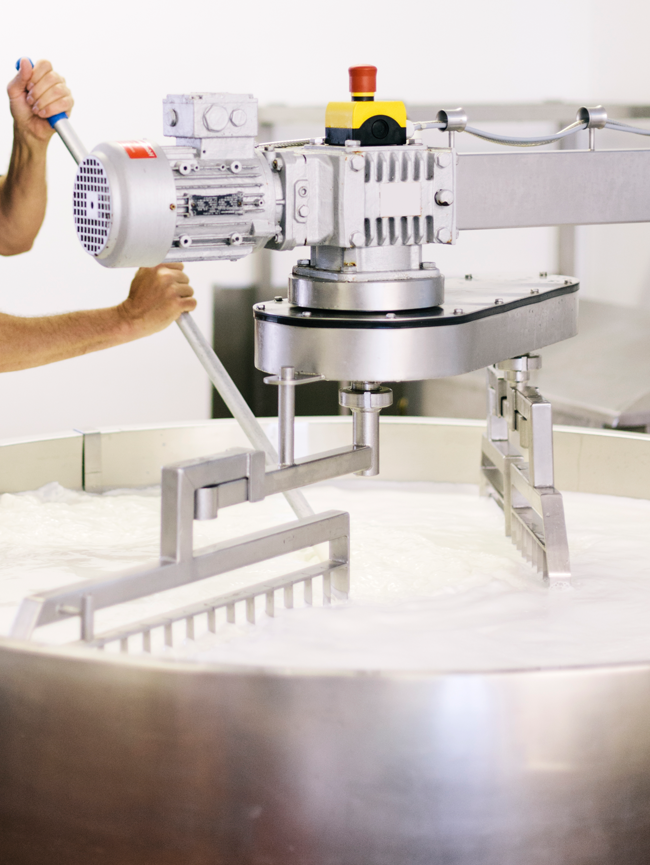 Dairy Commodities Powders